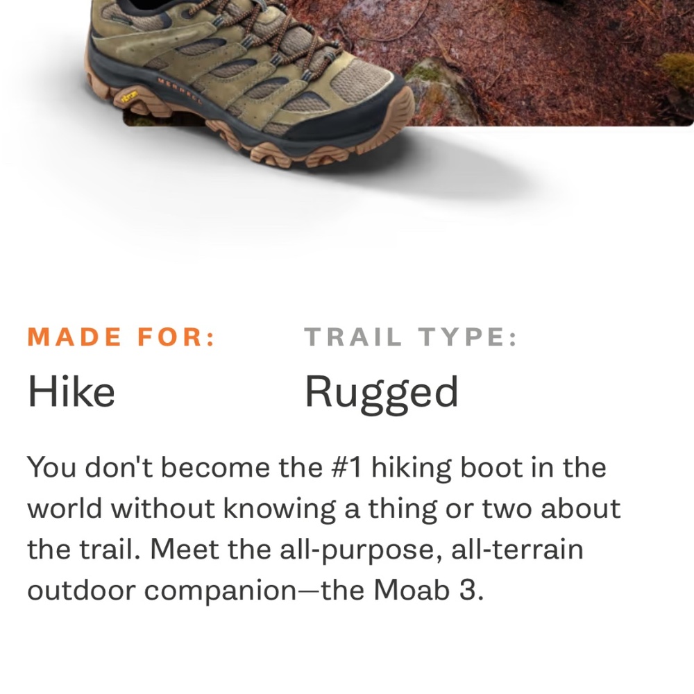 Hiking boots